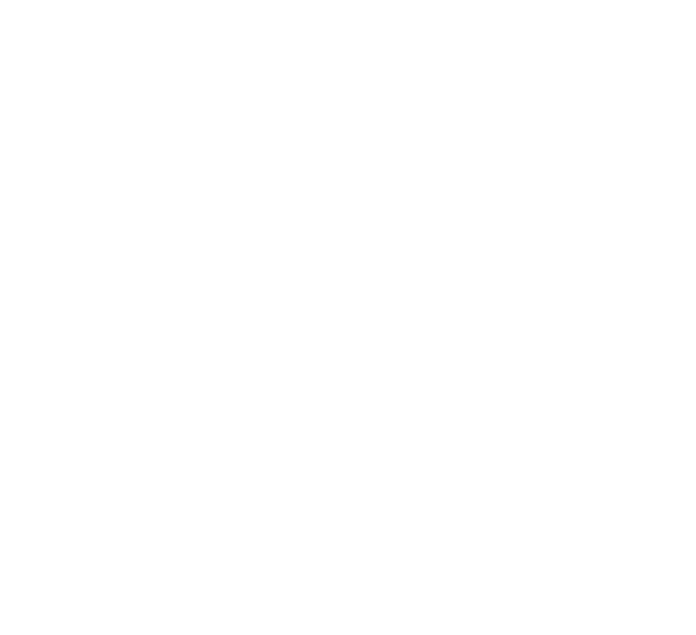 LOGO OEF BLANC